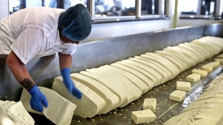 dairy-craft-pro-cheddarization-process