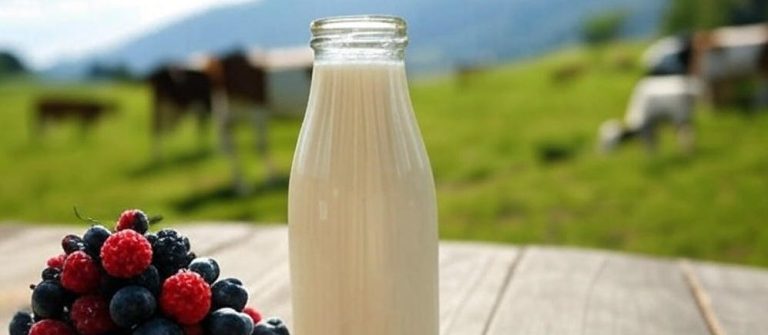 dairy-craft-pro-drinkable-yogurt