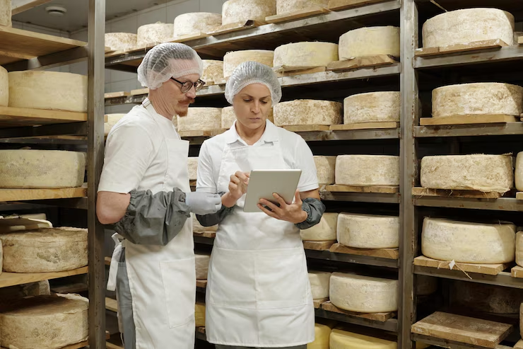 cheese production management